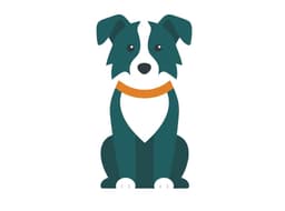 RingCatch mascot — a teal border collie